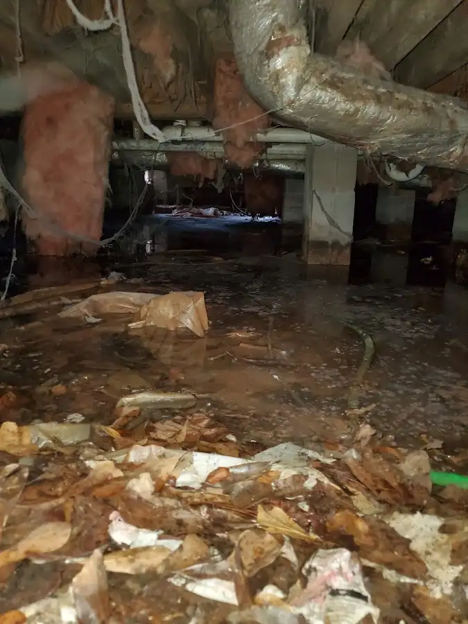 Crawl space flood assessment for Leak Detection & Repair in Marietta